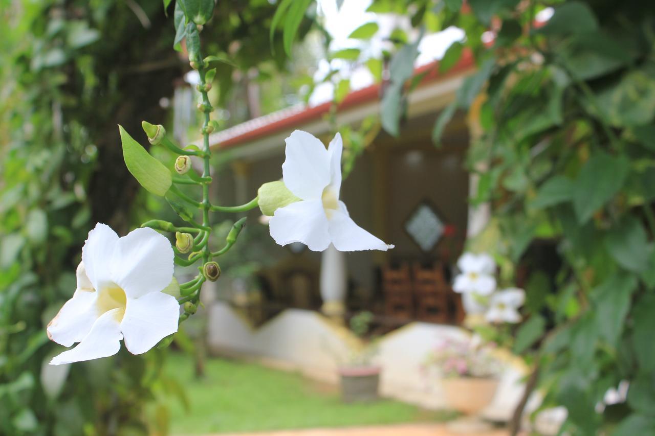 Dionis Villa Унаватуна Екстер'єр фото